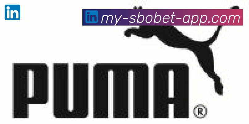 利记sbobet体育合作伙伴